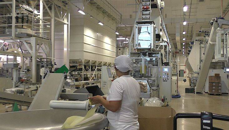 Cutting edge modern facilities to gently process grains into pasta. Photo © Karin Heinze