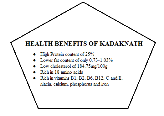 benefits of kadaknath