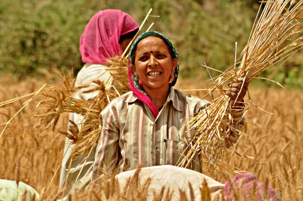 Women farmers in Uttarakhand