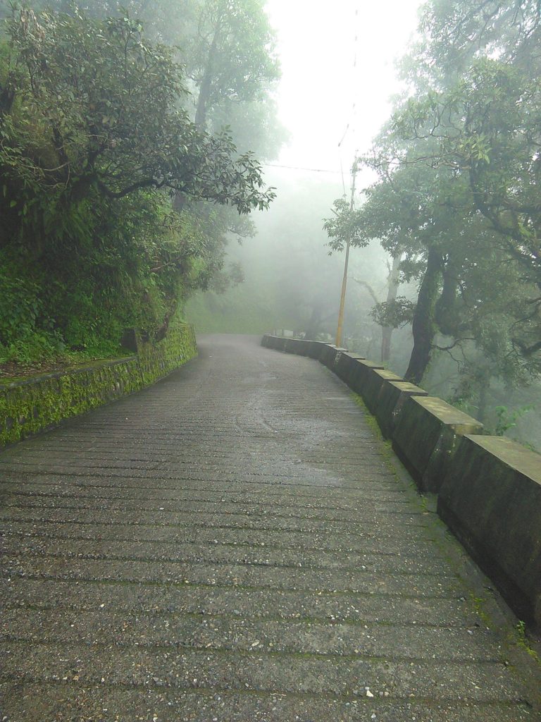 4-Beautiful Landour! - Photo by Dr Supriya Mahajan Sardana, MD