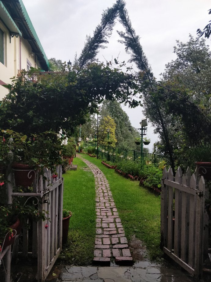 Breathtaking view at La Villa Bethany in Landour, Mussoorie - Photo by Surbhi S