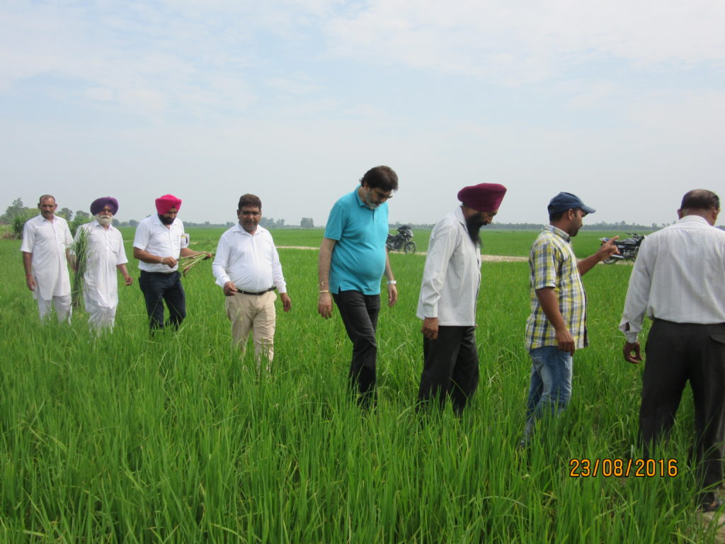 Nature Pearls Pvt Ltd's with its organic farmer partners in Punjab