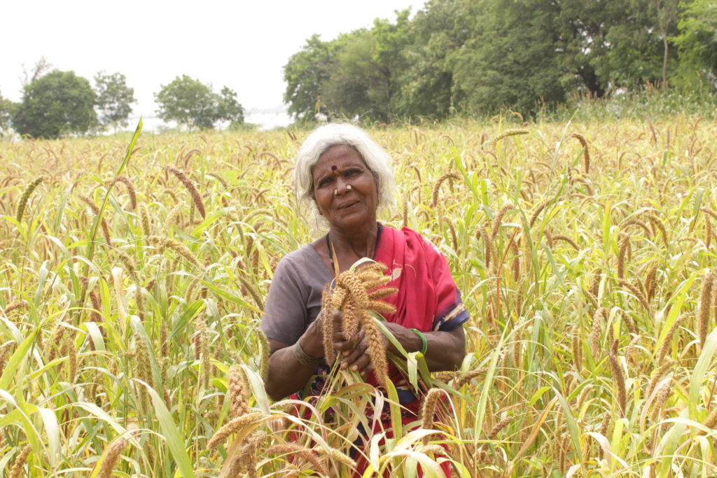 A happy female farmer associated with The Timbaktu Collective. Photo courtesy of The Timbaktu Collective