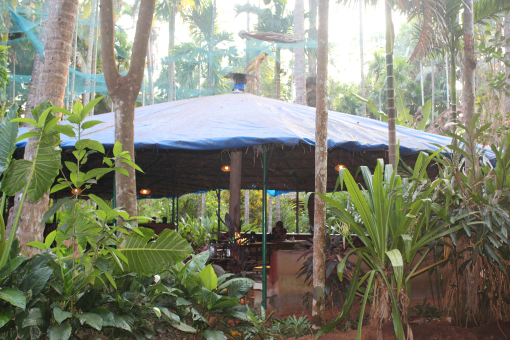 Dudhsagar Plantation organic farmstay Goa - central dining area. Photo © Pure & Eco India