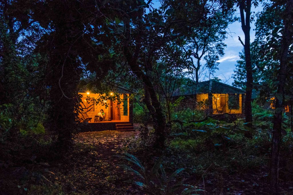 Dudhsagar Plantation organic farmstay Goa - cottages - night view