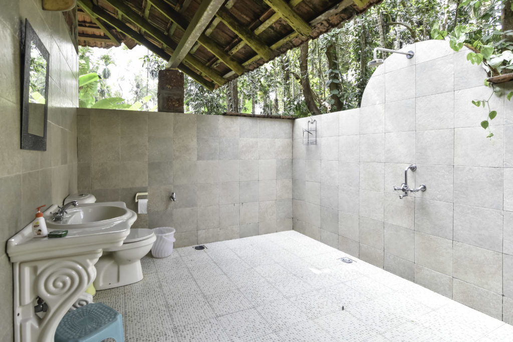 Dudhsagar Plantation organic farmstay Goa - open plan bathroom