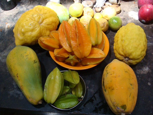 Organic fruits grown in Dudhsagar Plantation organic farmstay. Goa