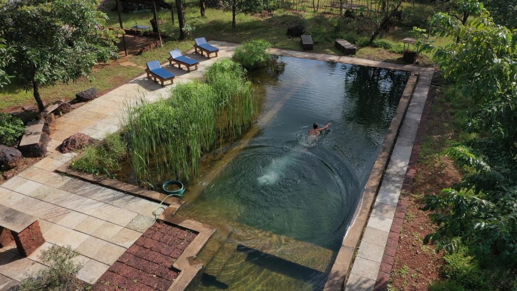 Organic swimming pool - eco pool-chlorine-free pool at Dudhsagar Plantation organic farmstay Goa. Photo © Pure & Eco India