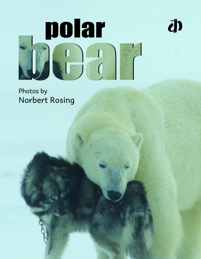 Children's book- Polar Bear by Norbert Rosing - Pure & Eco India-