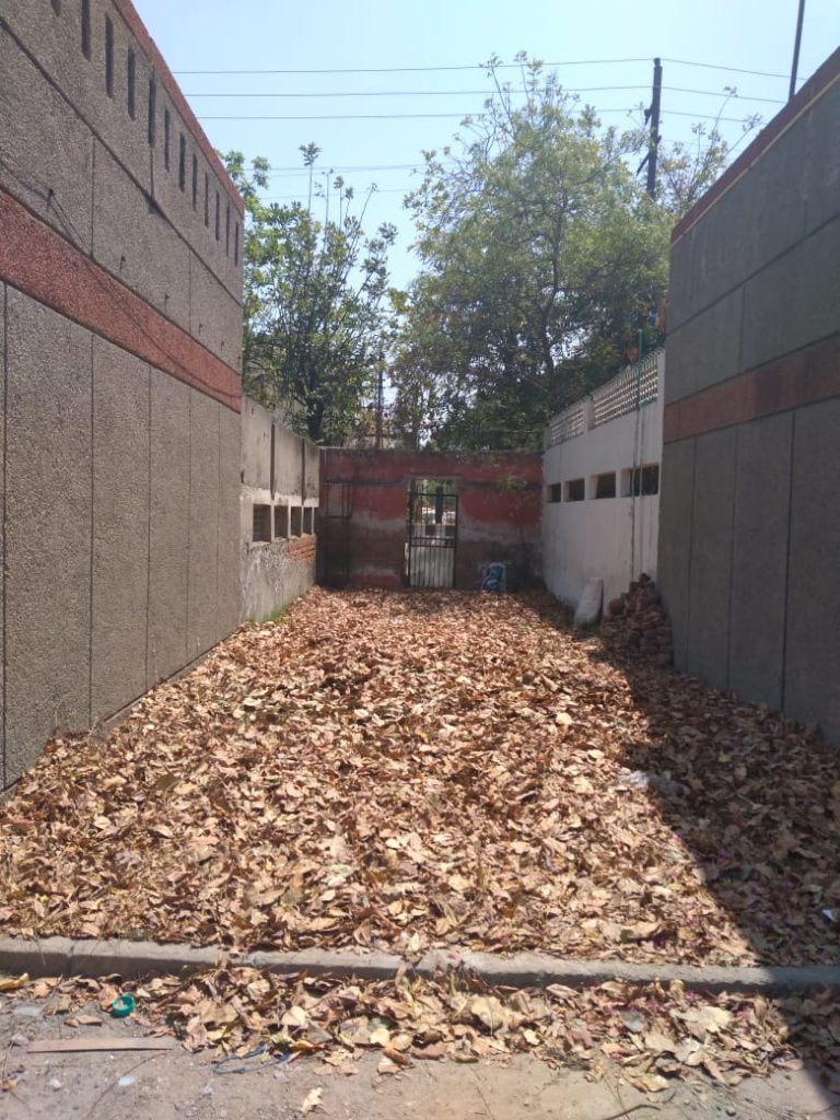 Dry leaves mulch- Pure & Eco India