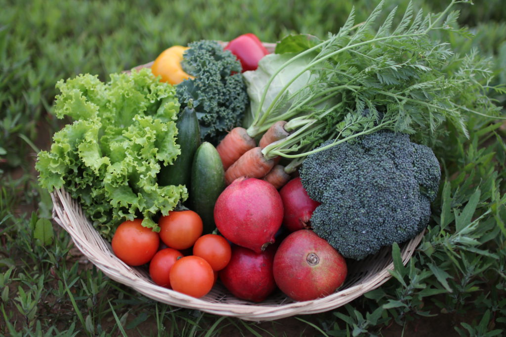 Organic vegetables-photo by Hasora - Pure & Eco India