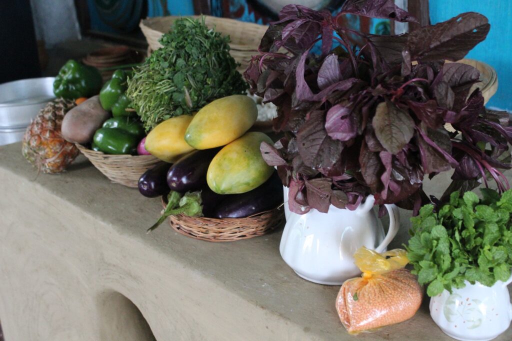 Organic produce at Petrichor Farms 2 -Pure & Eco India