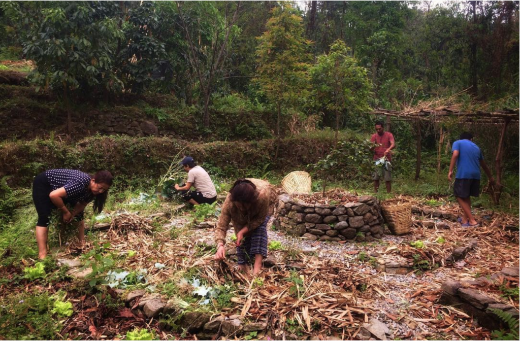 Permaculture at Petrichor Farms-Pure & Eco India