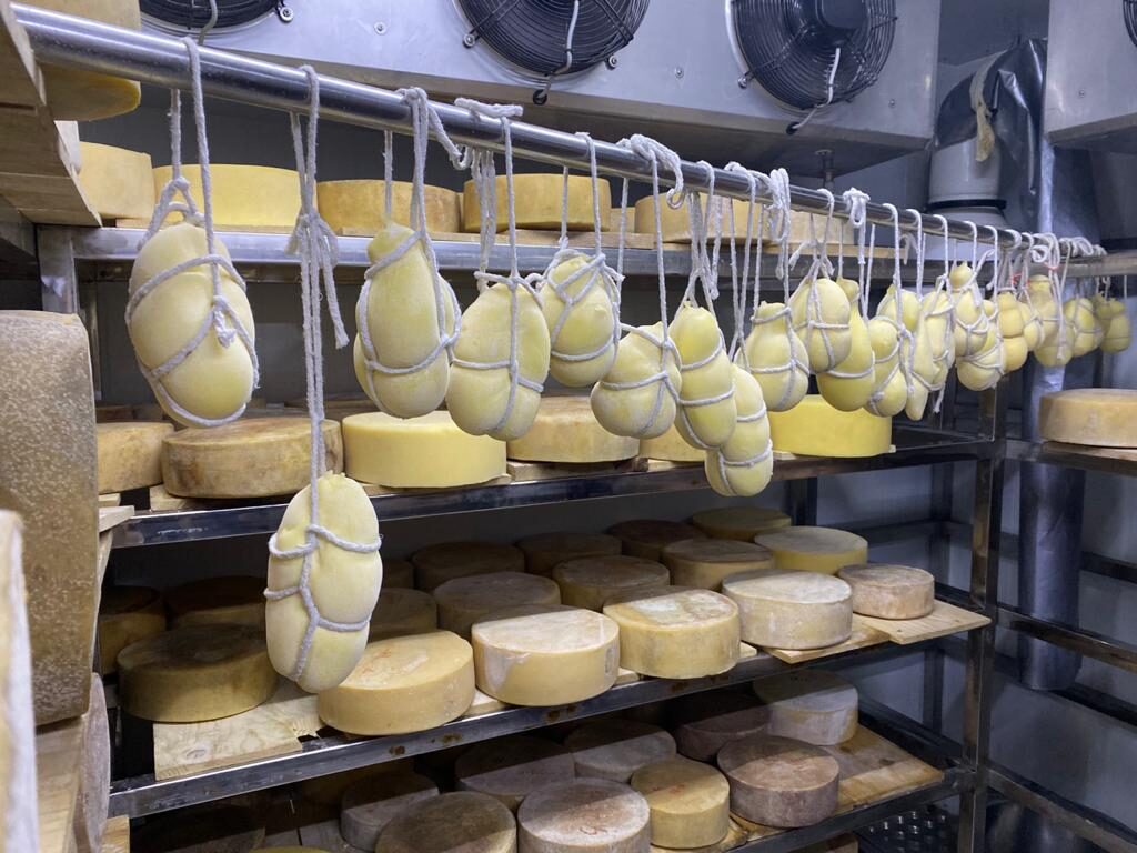 Darima Farms cheese cave-Pure & Eco India
