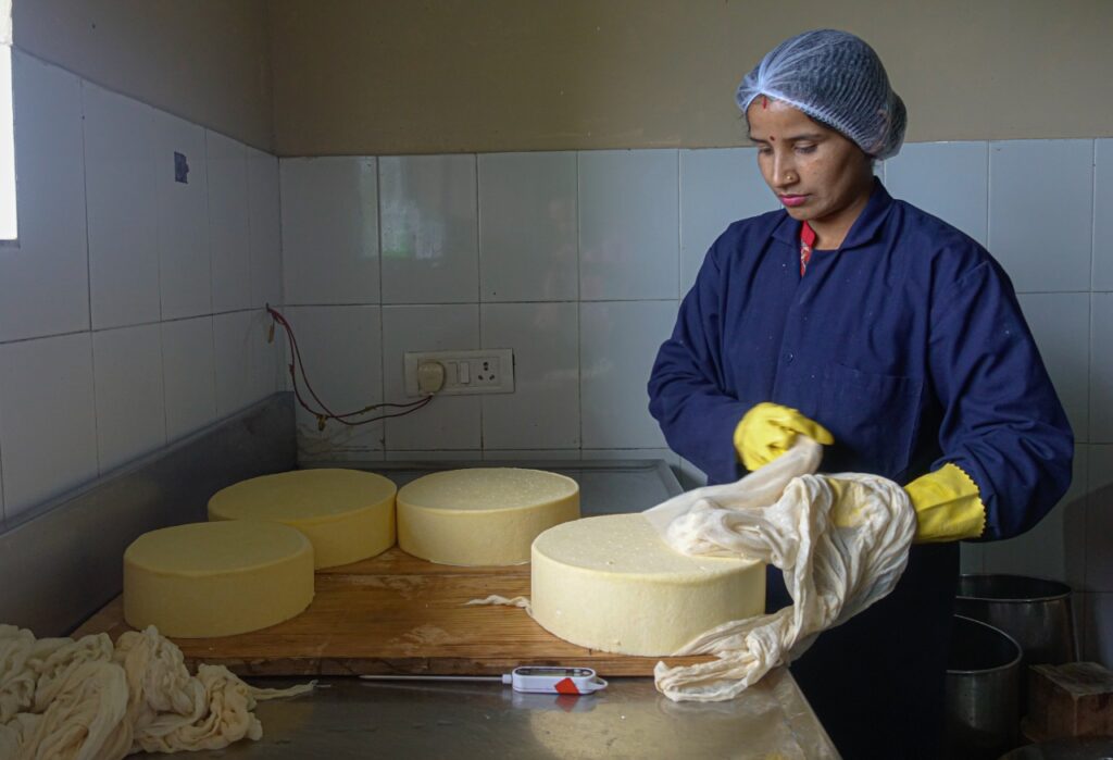 Darima Farms cheesemaking-Pure & Eco India